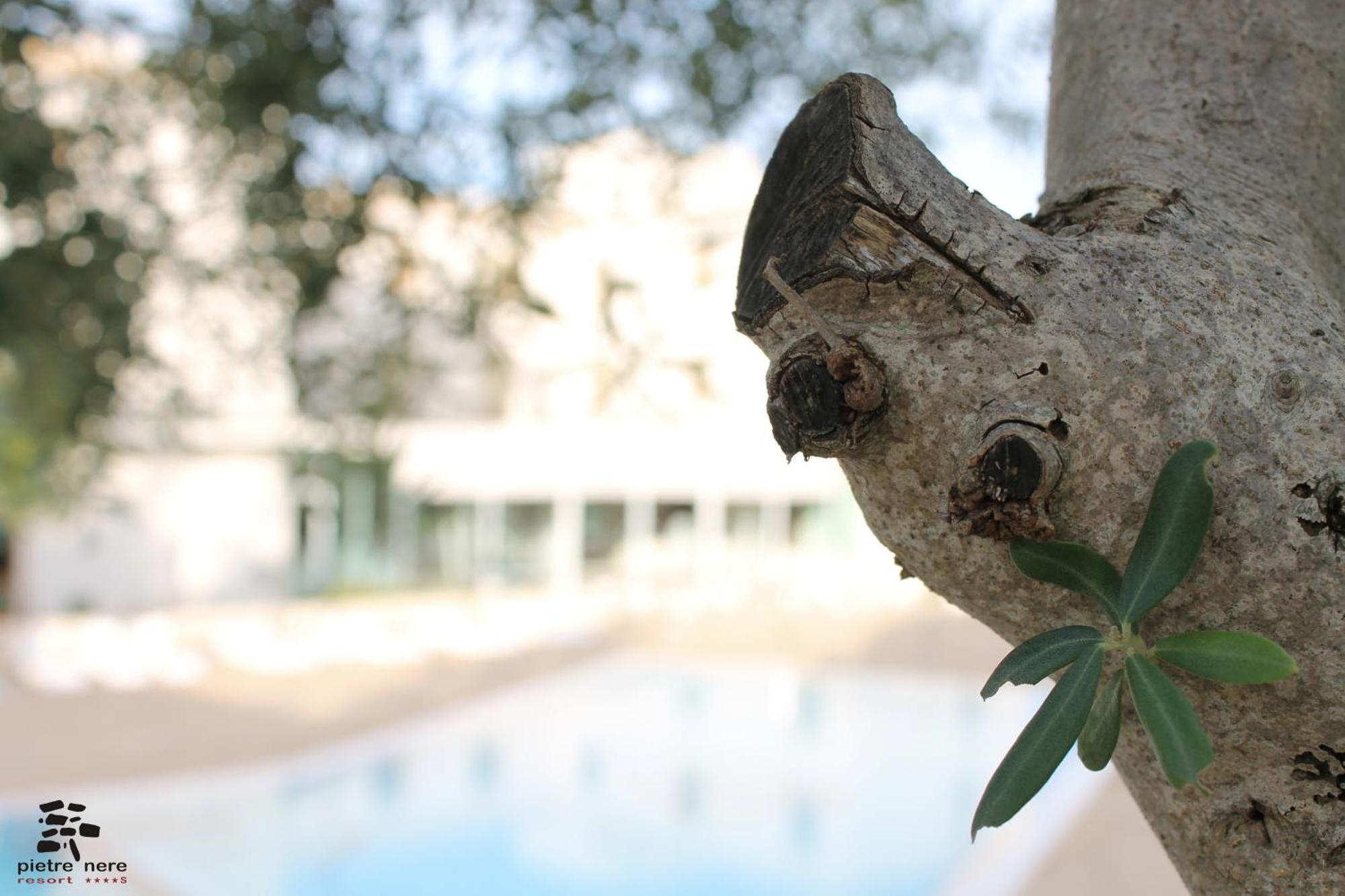 Pietre Nere Resort & Spa Modica Luaran gambar